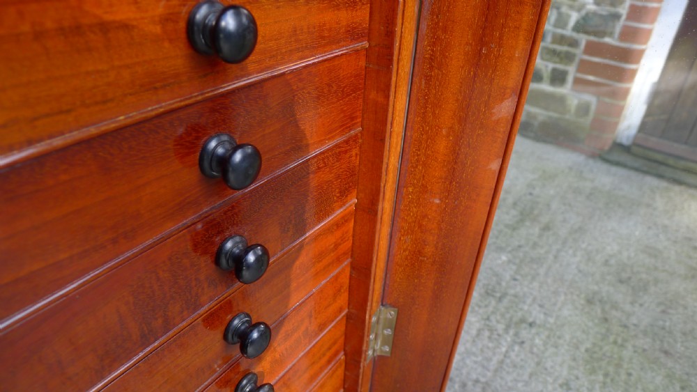 A VERY FINE 30 DRAWER BUTTERFLY COLLECTORS CABINET BY THOMAS GURNEY. CIRCA 1880 View XIII