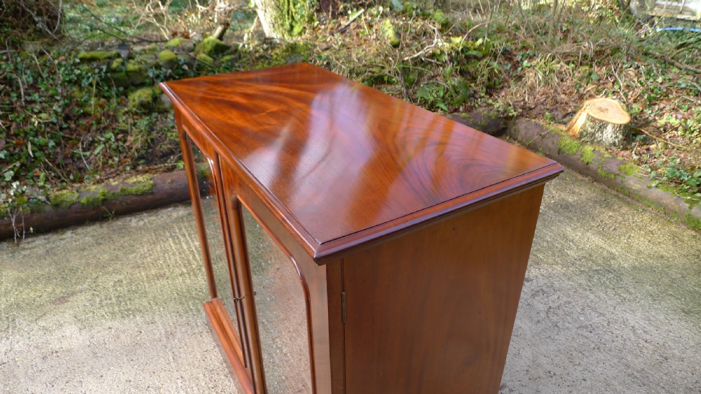 A VERY FINE 30 DRAWER BUTTERFLY COLLECTORS CABINET BY THOMAS GURNEY. CIRCA 1880 View XIV