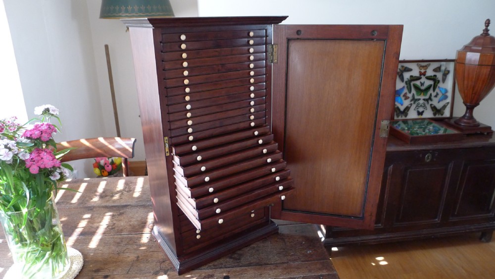 A SUPERB COLLECTORS CABINET IN MAHOGANY AND WALNUT WITH CEDER LINED DRAWERS. CIRCA 1886.