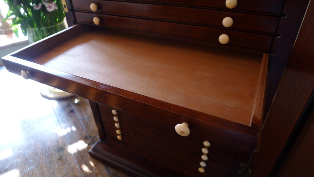 A SUPERB COLLECTORS CABINET IN MAHOGANY AND WALNUT WITH CEDER LINED DRAWERS. CIRCA 1886. View XIII