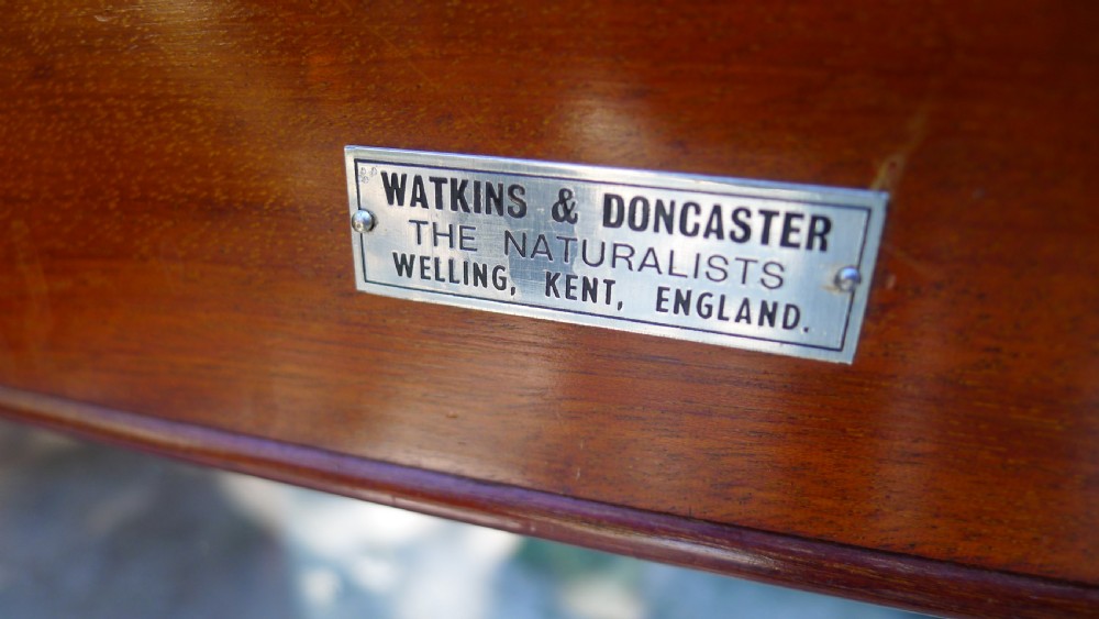 A GOOD MAHOGANY 12 DRAWER COLLECTORS CABINET BY WATKINS & DONCASTER LATE OF THE EMMINENT ENTOMOLOGIST P.W.CRIBB. View IX