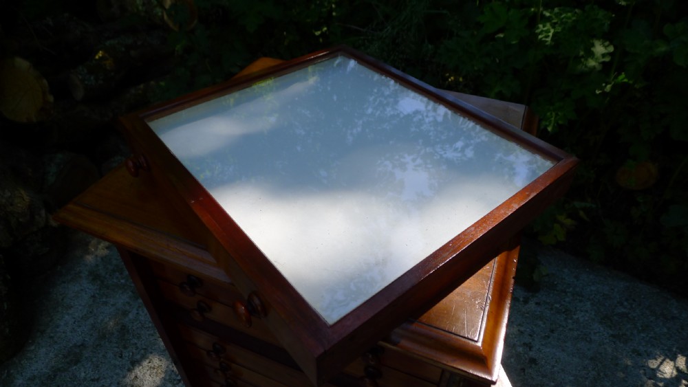A GOOD MAHOGANY 12 DRAWER COLLECTORS CABINET BY WATKINS & DONCASTER LATE OF THE EMMINENT ENTOMOLOGIST P.W.CRIBB. View XII