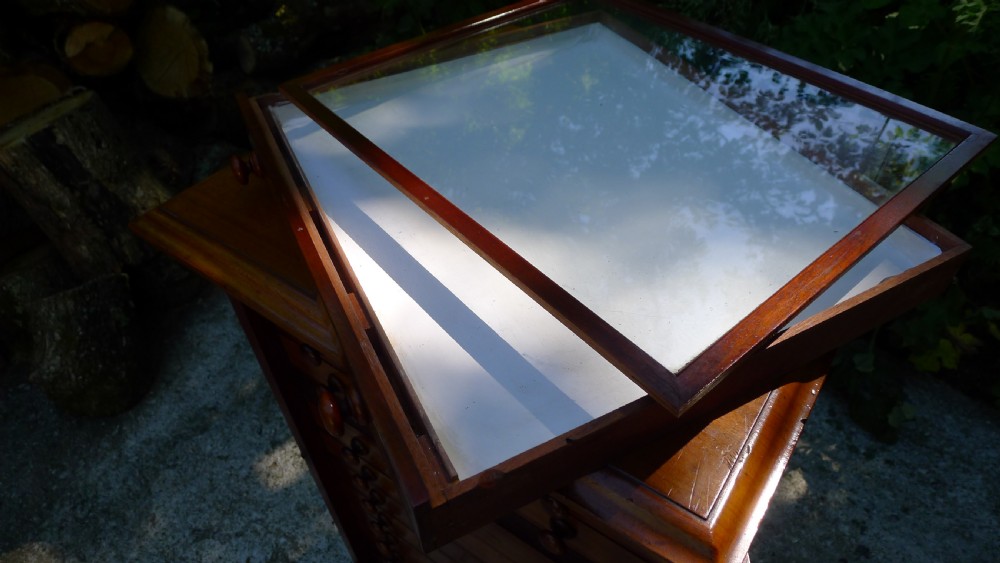 A GOOD MAHOGANY 12 DRAWER COLLECTORS CABINET BY WATKINS & DONCASTER LATE OF THE EMMINENT ENTOMOLOGIST P.W.CRIBB. View XIII
