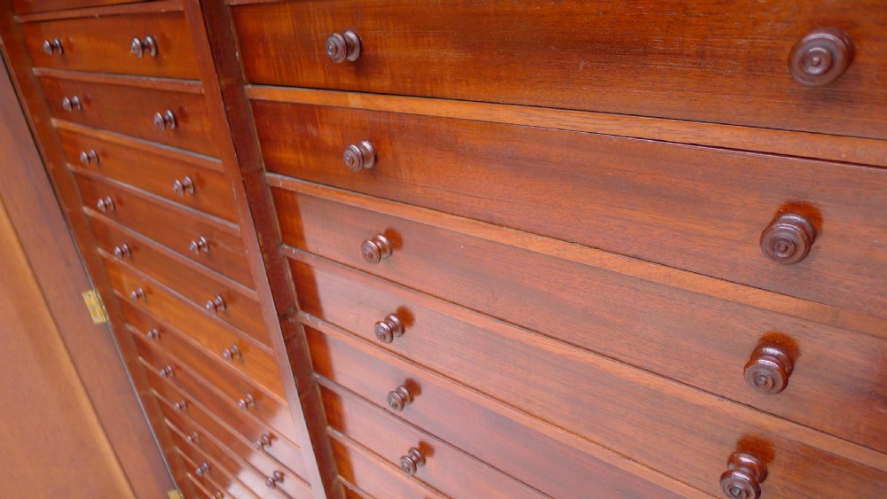 A SPLENDID 30 DRAWER MAHOGANY COLLECTORS CABINET BY J.THORNE, 1 GERNON ROAD. LONDON. CIRCA 1870. View IX