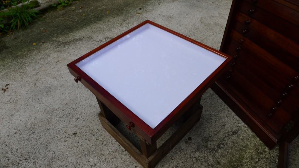 A 20 DRAWER MAHOGANY COLLECTORS CABINET BY J.T.CROCKETT OF LONDON. CIRCA 1890. View XI
