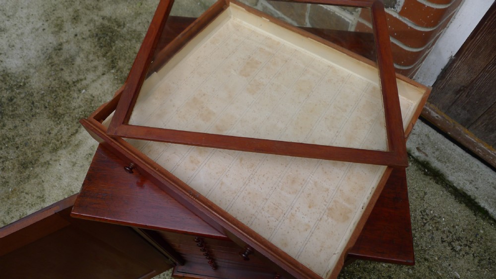 A SMALL AND VERY ATTRACTIVE 12 DRAWER MAHOGANY COLLECTORS CABINET, LATE OF J.C.DALE AND E.R.DALE. CIRCA 1870. View IX