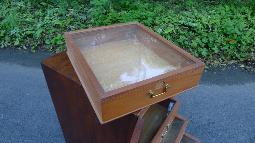 A GOOD SIX DRAWER MAHOGANY COLLECTORS CABINET CIRCA 1830. DEEP DRAWERS. View IX