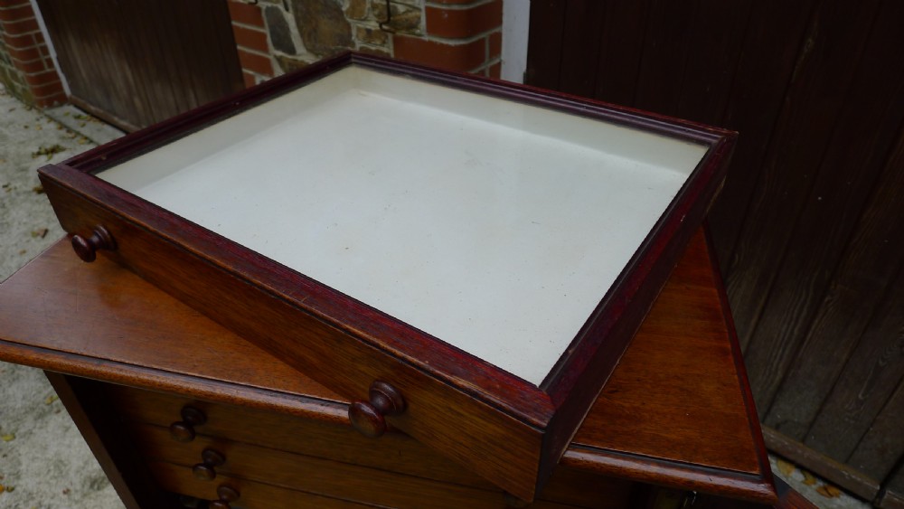 A GOOD AND VERSATILE 16 DRAWER COLLECTORS CABINET LATE OF P.W.CRIBB. CIRCA 1930. View V