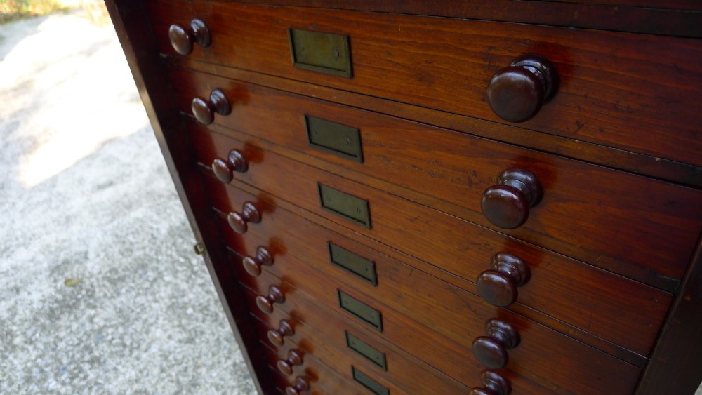 A 12 DRAWER WATKINS & DONCASTER MAHOGANY AND DEAL COLLECTORS CABINET CIRCA 1890 IN ORIGINAL CONDITION. View VIII
