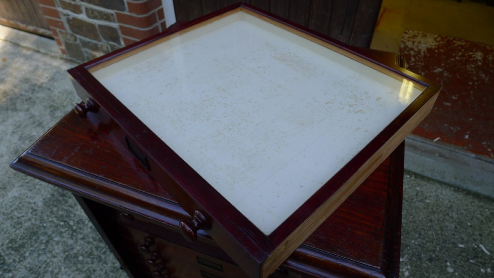 A 12 DRAWER WATKINS & DONCASTER MAHOGANY AND DEAL COLLECTORS CABINET CIRCA 1890 IN ORIGINAL CONDITION. View XII