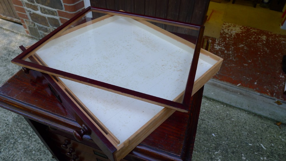 A 12 DRAWER WATKINS & DONCASTER MAHOGANY AND DEAL COLLECTORS CABINET CIRCA 1890 IN ORIGINAL CONDITION. View XIII