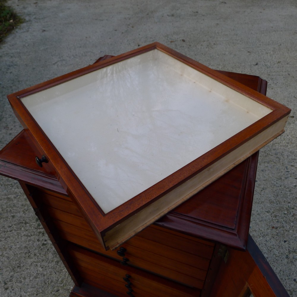 A GOOD 12 DRAWER, VICTORIAN MAHOGANY COLLECTORS CABINET, CONTINENTAL DEPTH. CIRCA 1870. View VIII