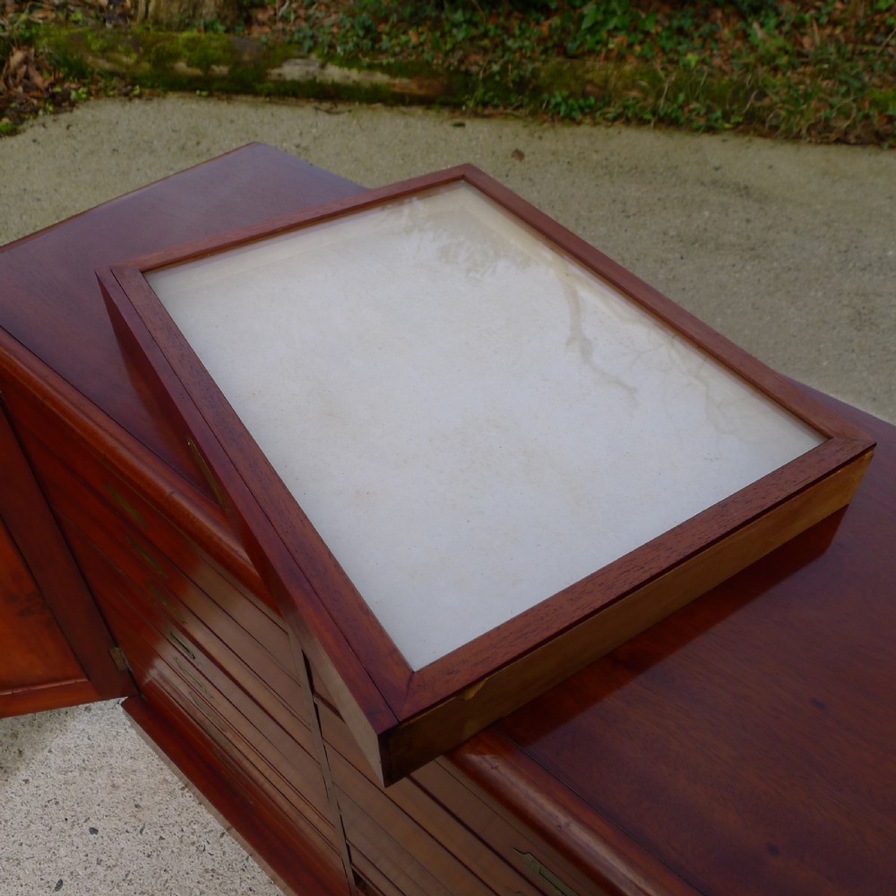 A GOOD AND HIGHLY VERSATILE HONDURAS MAHOGANY COLLECTORS CABINET CIRCA 1870. View XI