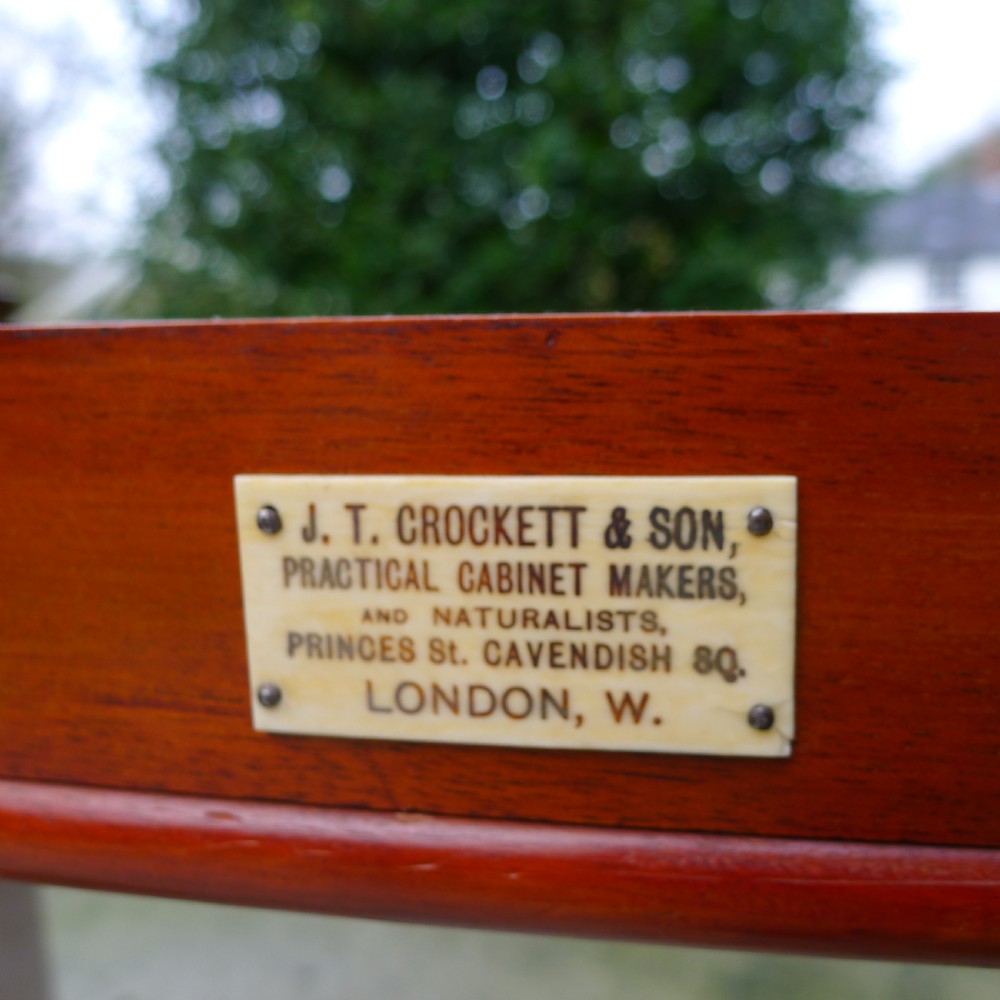 A 30 DRAWER SOLID MAHOGANY DE-LUXE COLLECTORS CABINET BY J.T.CROCKETT. CIRCA  1890. View V