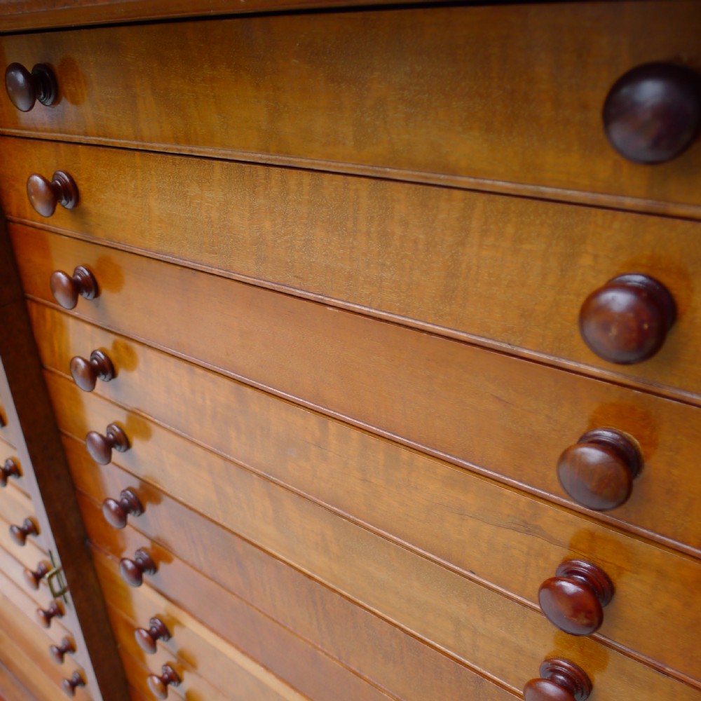 A 30 DRAWER SOLID MAHOGANY DE-LUXE COLLECTORS CABINET BY J.T.CROCKETT. CIRCA  1890. View VI