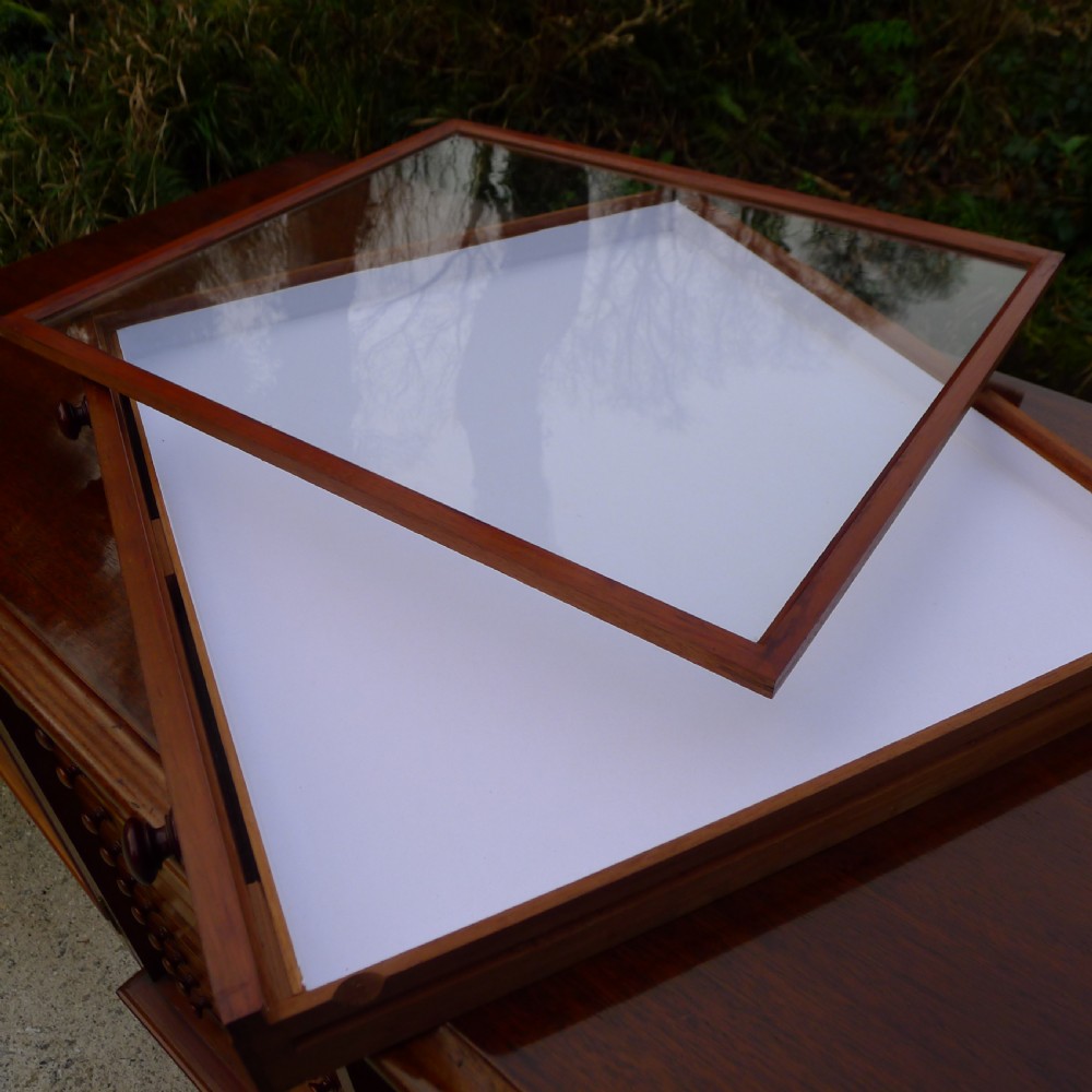 A 30 DRAWER SOLID MAHOGANY DE-LUXE COLLECTORS CABINET BY J.T.CROCKETT. CIRCA  1890. View VIII