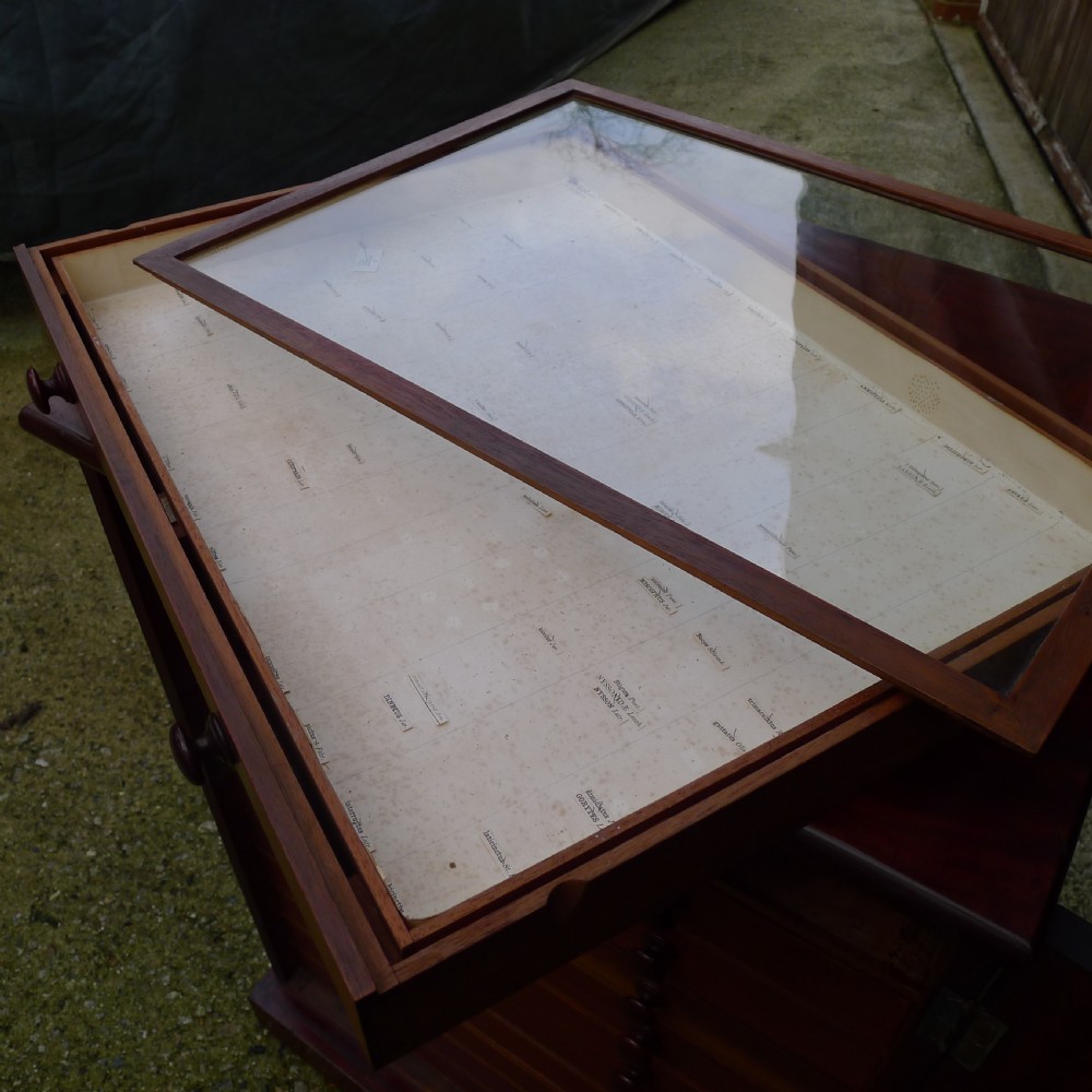 A FINE SOLID MAHOGANY 12 DRAWER COLLECTORS CABINET CIRCA 1830.  View XV