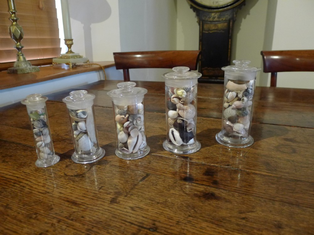 A 'GRAND TOUR' VICTORIAN COLLECTION OF 5 SHELL JARS. CIRCA 1870.