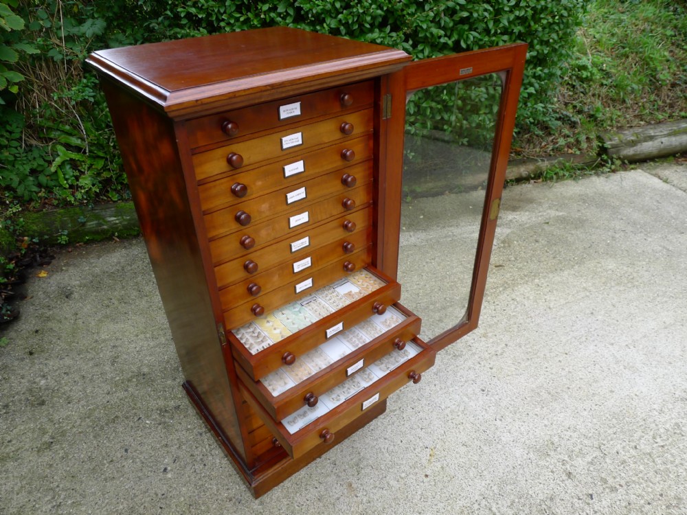 A SOLID MAHOGANY 16 DRAWER VICTORIAN COLLECTORS CABINET CONTAINING A SPECTACULAR COLLECTION OF BRITISH MOTHS. CIRCA 1900.