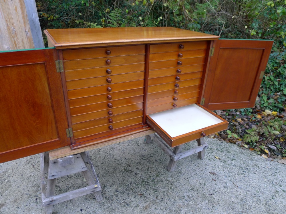 A 20 DRAWER MAHOGANY COLLECTORS CABINET. EX MUSEUM. CIRCA 1900