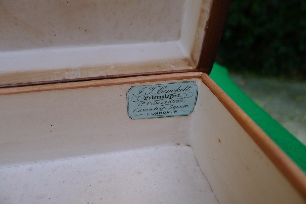 2 GOOD COLLECTORS CABINET STORAGE BOXES. CIRCA 1890. J.T.CROCKETT View IV