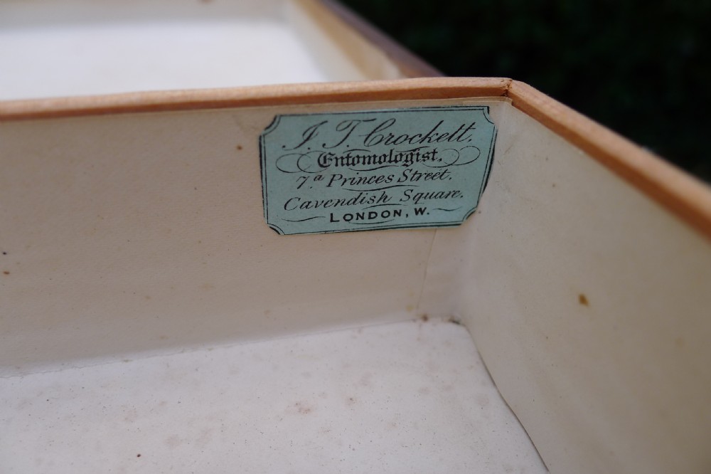 2 GOOD COLLECTORS CABINET STORAGE BOXES. CIRCA 1890. J.T.CROCKETT View XI