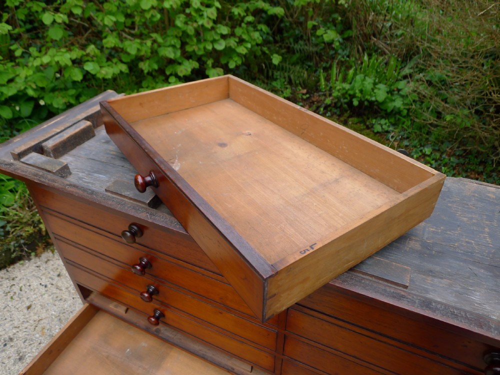 EX CAMBRIDGE UNIVERSITY GEOLOGY 24 DRAWER GEOLOGY COLLECTORS CABINET. CIRCA 1870. View XI