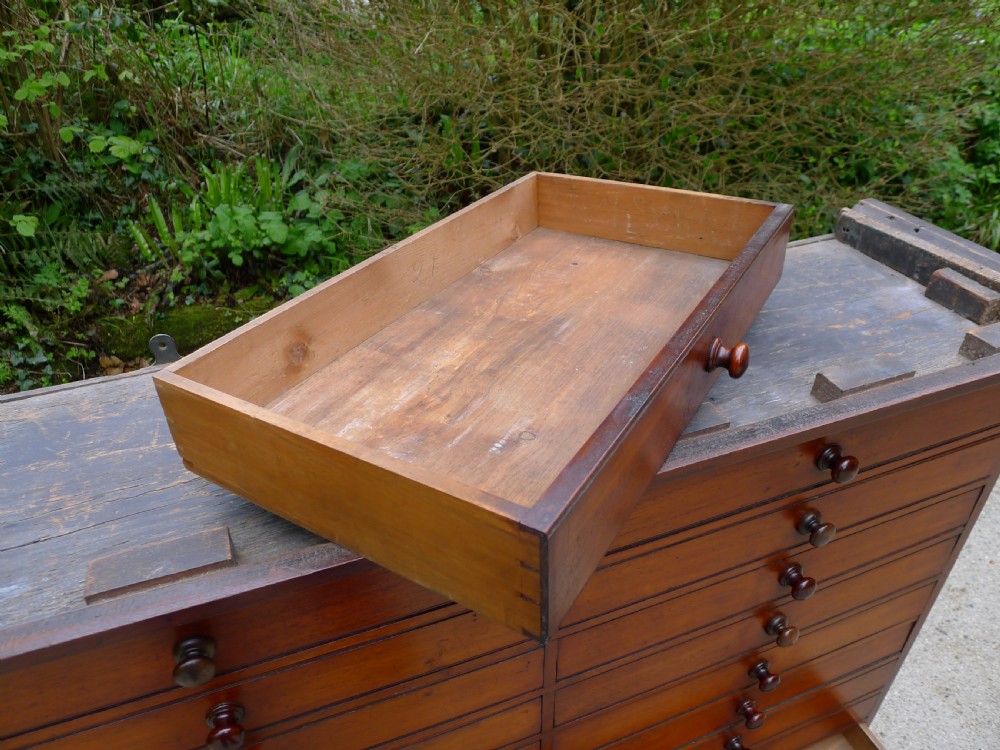EX CAMBRIDGE UNIVERSITY GEOLOGY 24 DRAWER GEOLOGY COLLECTORS CABINET. CIRCA 1870. View XII