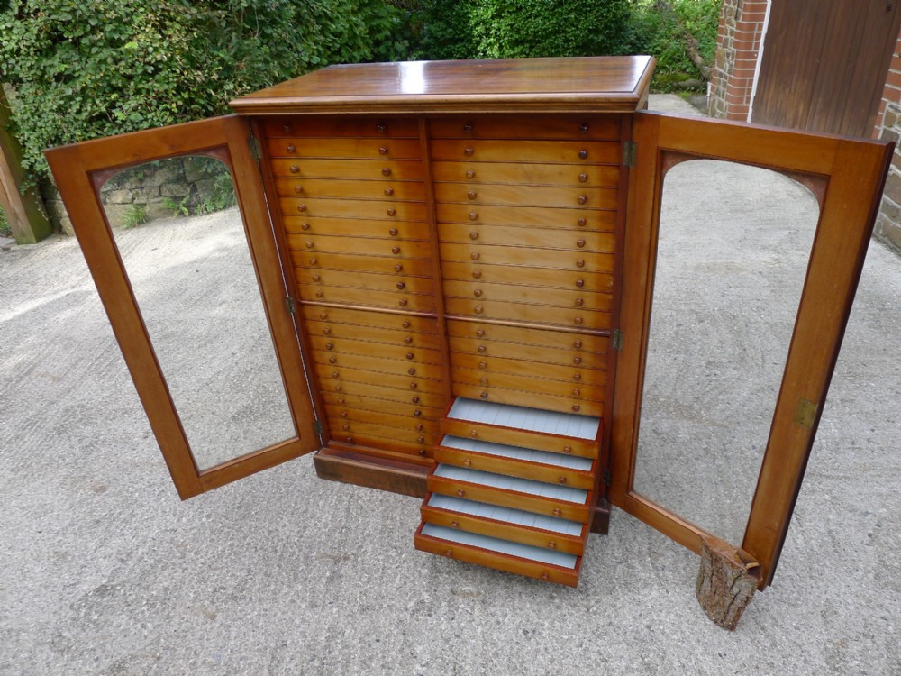 AN EXCELLENT 40 DRAWER MAHOGANY ENTOMOLOGICAL COLLECTORS CABINET BY BRADY OF EDMONTON CIRCA 1890.