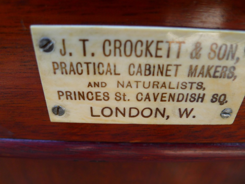 A SOLID MAHOGANY 20 DRAWER COLLECTORS CABINET BY J.T.CROCKETT, CAVENDISH SQUARE, LONDON. CIRCA 1890. View V