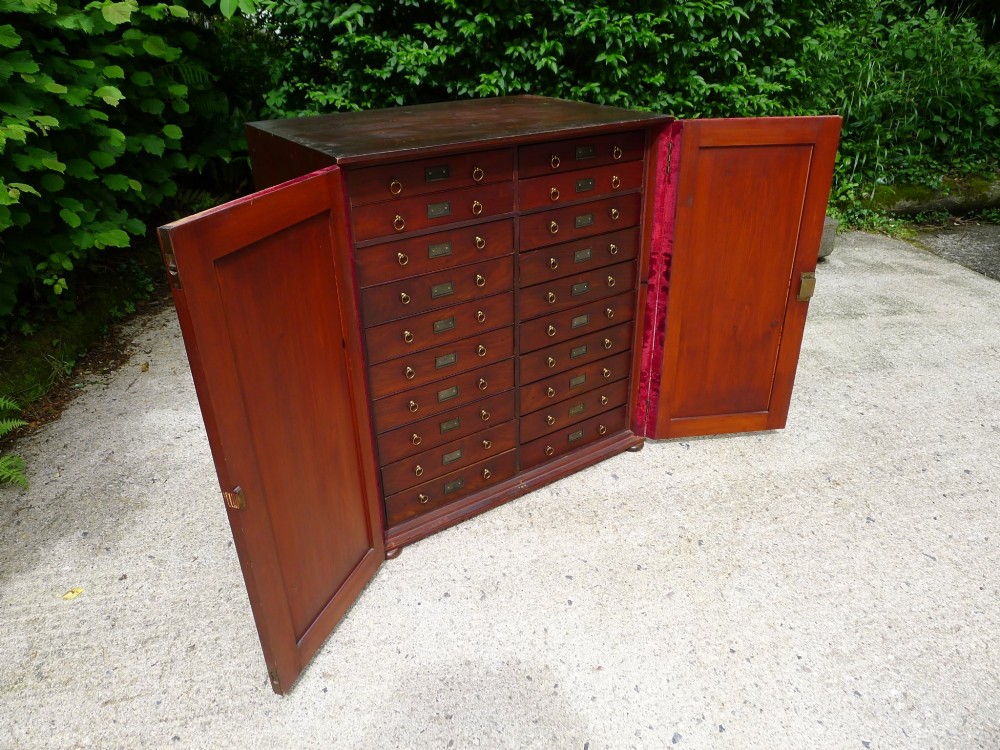 A MID 19TH CENTURY COLLECTORS CABINET IN STAINED AND POLISHED DEAL. CIRCA 1860.