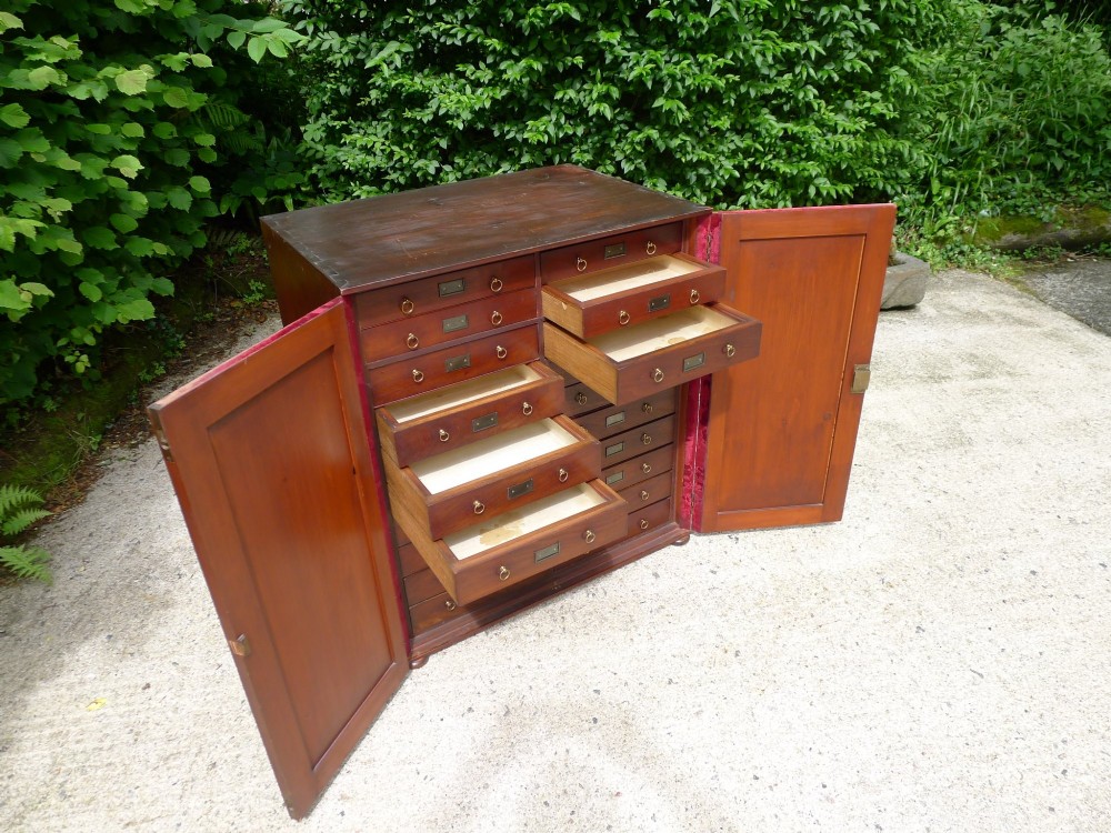 A mid-19th-century stained deal collectors cabinet featuring double doors opened to reveal twenty drawers with brass handles. View X