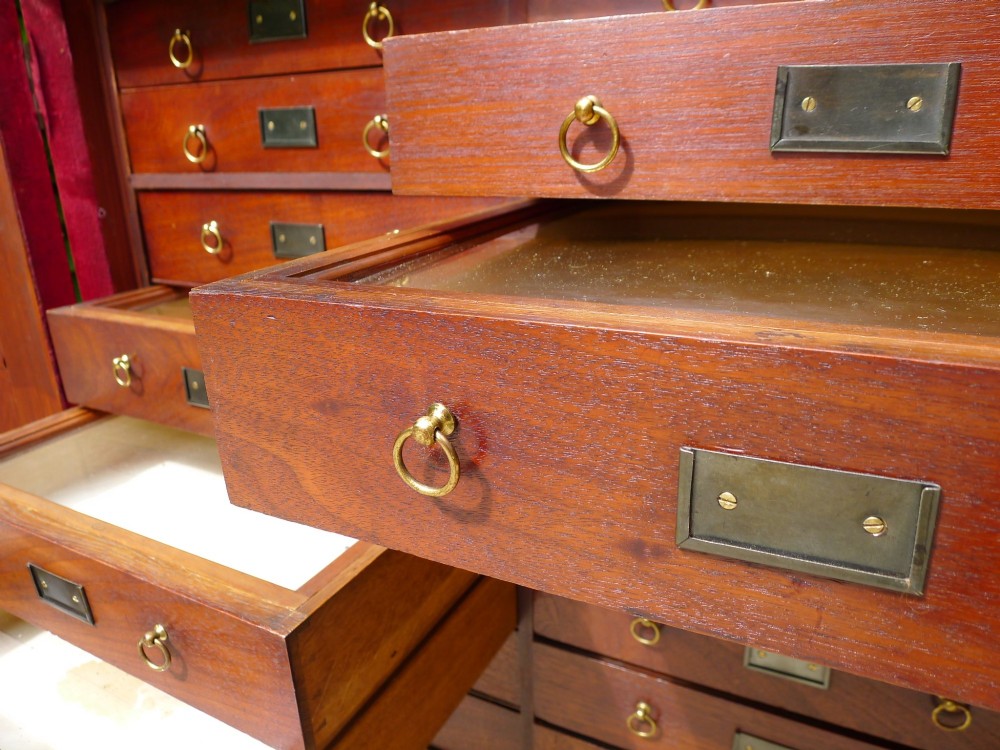 A mid-19th-century stained deal collectors cabinet featuring double doors opened to reveal twenty drawers with brass handles. View XI