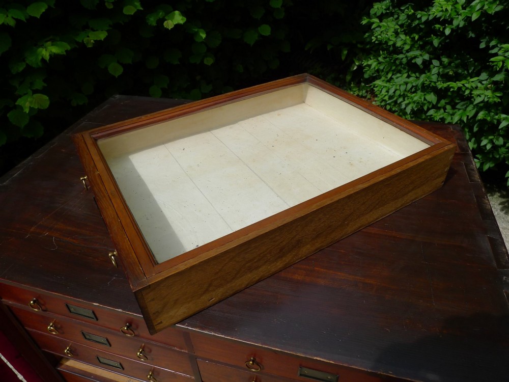 A mid-19th-century stained deal collectors cabinet featuring double doors opened to reveal twenty drawers with brass handles. View XII