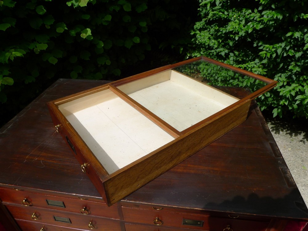 A mid-19th-century stained deal collectors cabinet featuring double doors opened to reveal twenty drawers with brass handles. View XIII