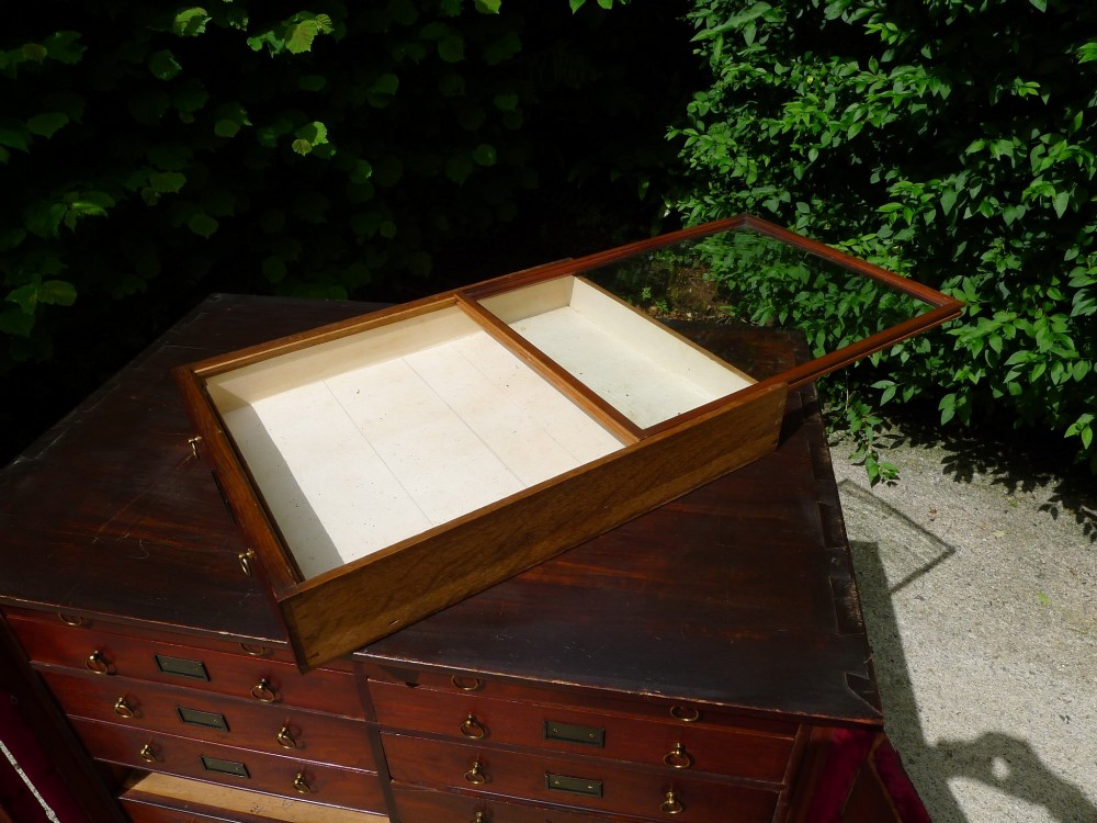 A mid-19th-century stained deal collectors cabinet featuring double doors opened to reveal twenty drawers with brass handles. View XIV