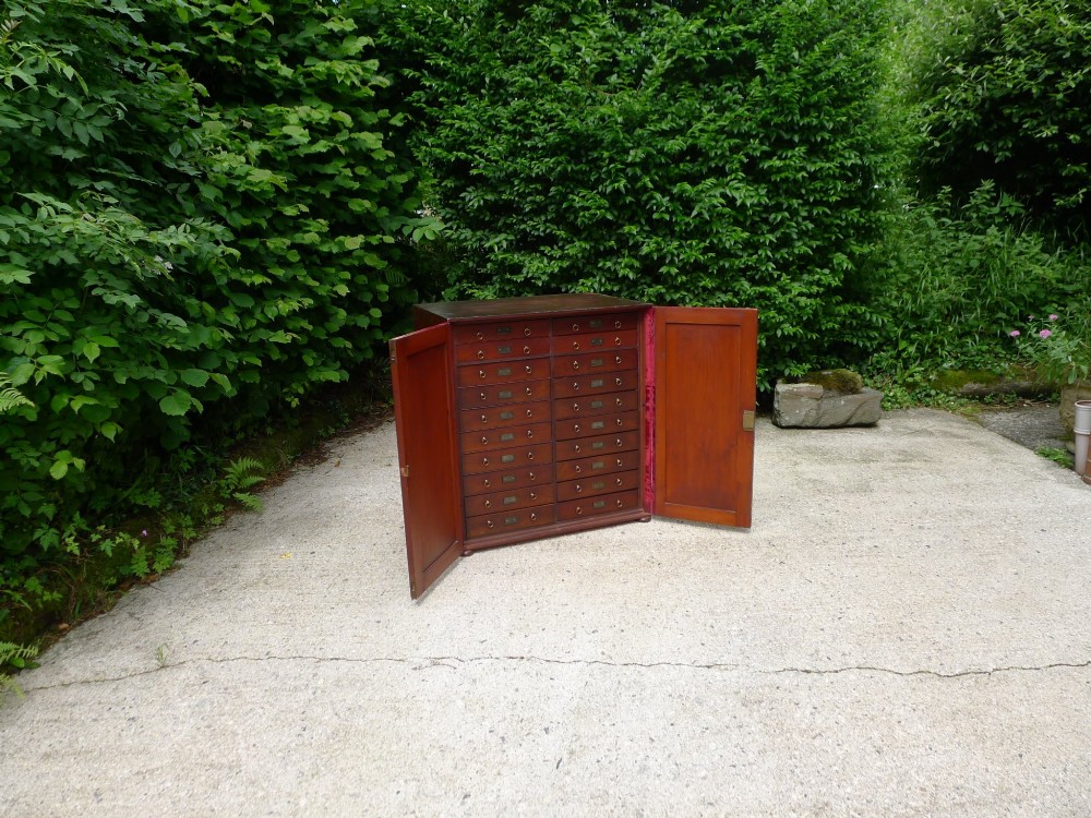 A mid-19th-century stained deal collectors cabinet featuring double doors opened to reveal twenty drawers with brass handles. View XV