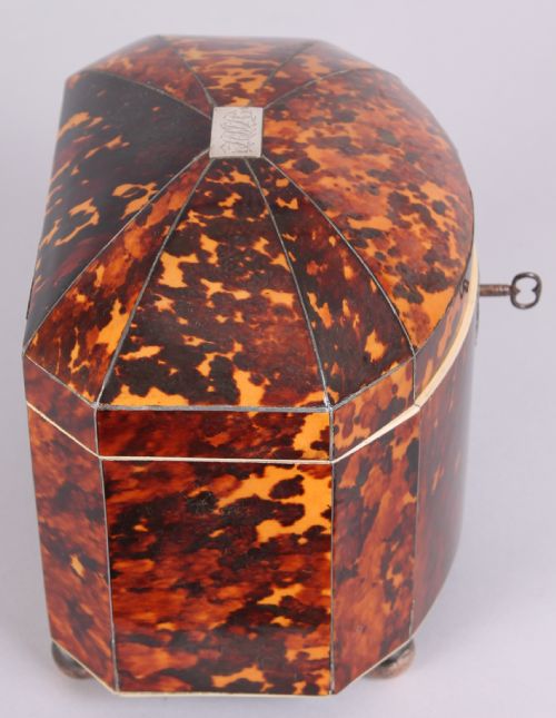 FINE REGENCY PERIOD TORTOISESHELL BOWFRONTED DOUBLE TEACADDY - ADDITIONAL PHOTO 1