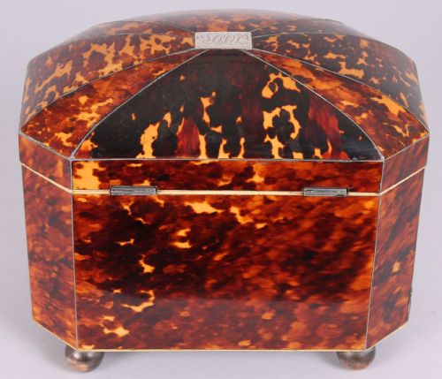 FINE REGENCY PERIOD TORTOISESHELL BOWFRONTED DOUBLE TEACADDY - ADDITIONAL PHOTO 2