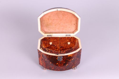 FINE REGENCY PERIOD TORTOISESHELL BOWFRONTED DOUBLE TEACADDY - ADDITIONAL PHOTO 4