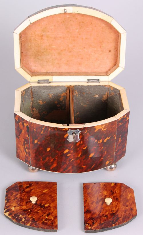 FINE REGENCY PERIOD TORTOISESHELL BOWFRONTED DOUBLE TEACADDY - ADDITIONAL PHOTO 5