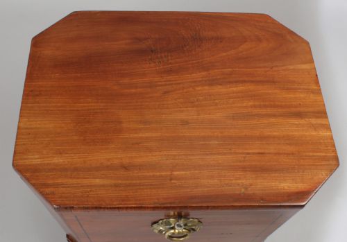 fig 1. George IV period mahogany wine-cooler