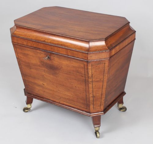 George IV Period Mahogany Sarcophagus Shaped Wine Cooler