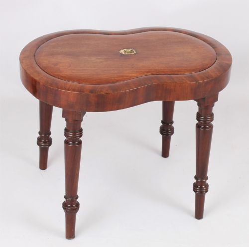 Early 19th Century Mahogany Bidet