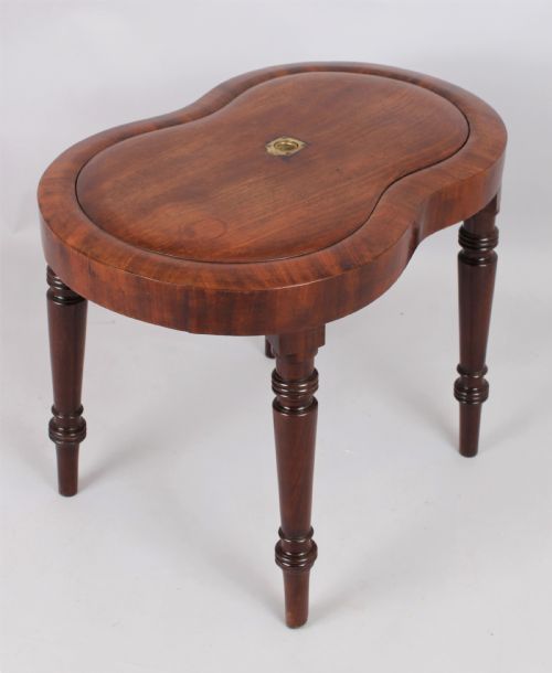 fig 1. Early 19th century mahogany bidet