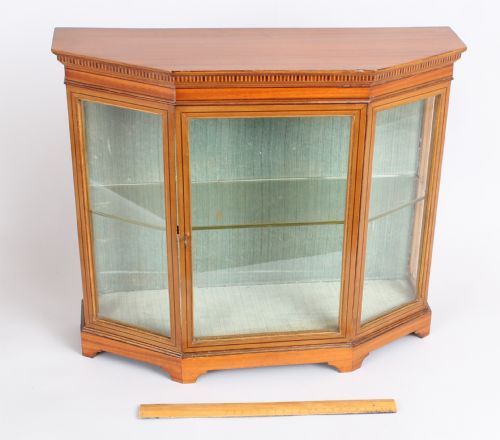 An Edwardian Satinwood Miniature Glazed Display Cabinet