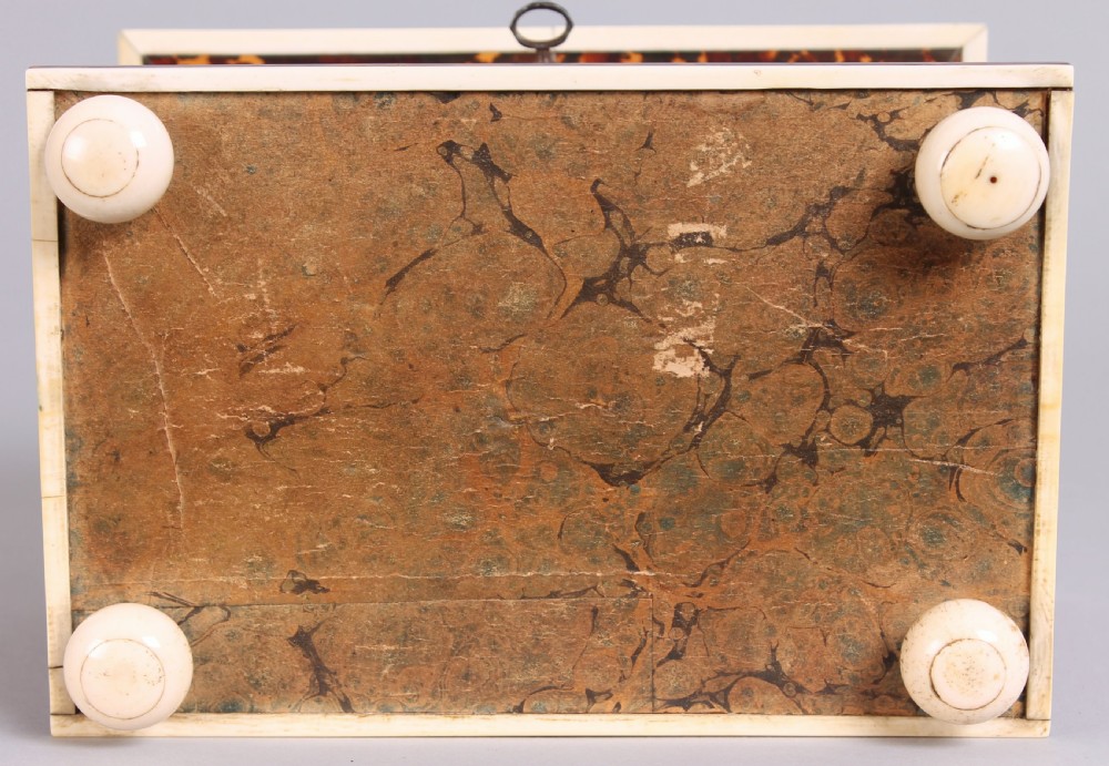 Fine William IV Period Tortoise-shell Double Tea-caddy View IV