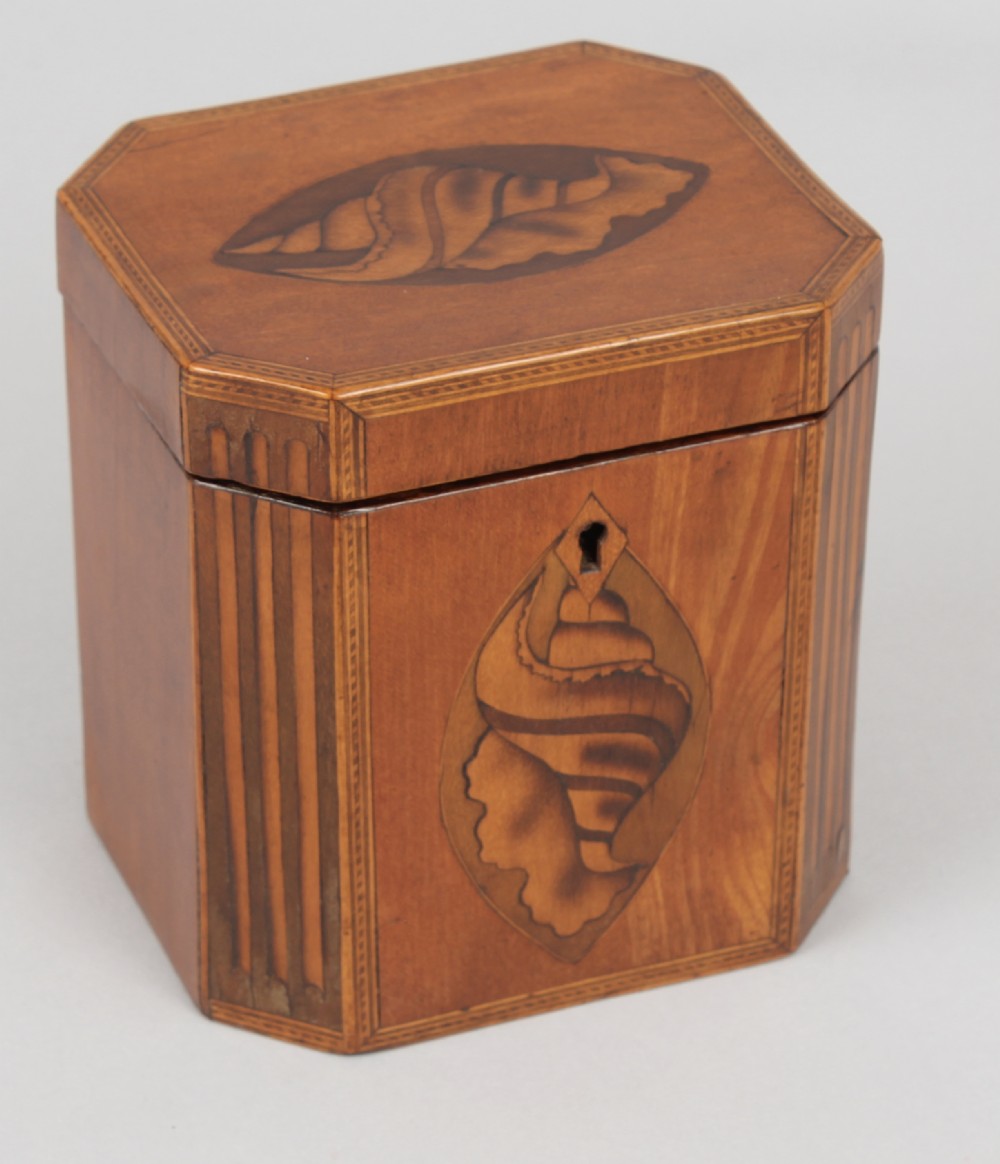 An octagonal George III satinwood tea caddy featuring a hinged lid, inlaid shell marquetry, geometric stringing, and a keyhole escutcheon.