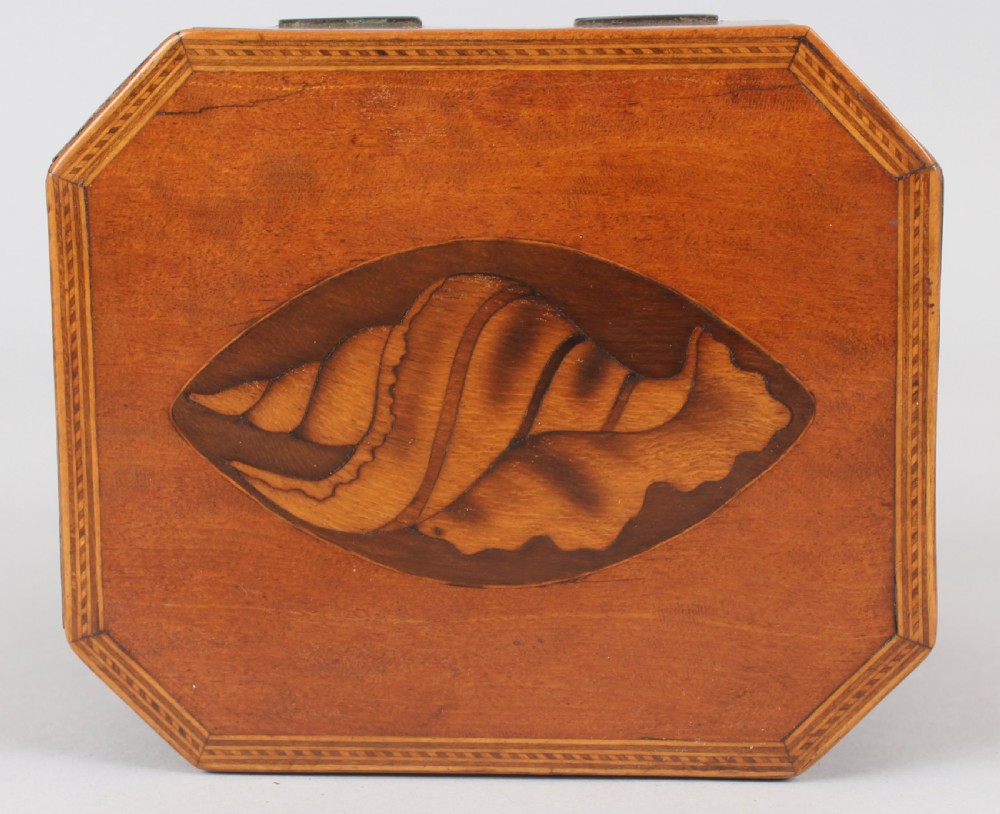 An octagonal George III satinwood tea caddy featuring a hinged lid, inlaid shell marquetry, geometric stringing, and a keyhole escutcheon. View III