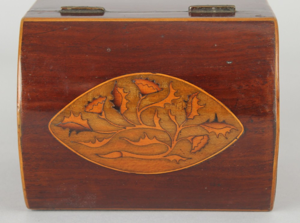 George III mahogany domed-top tea-caddy View IV